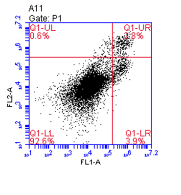實(shí)驗(yàn)檢測(cè)技術(shù)